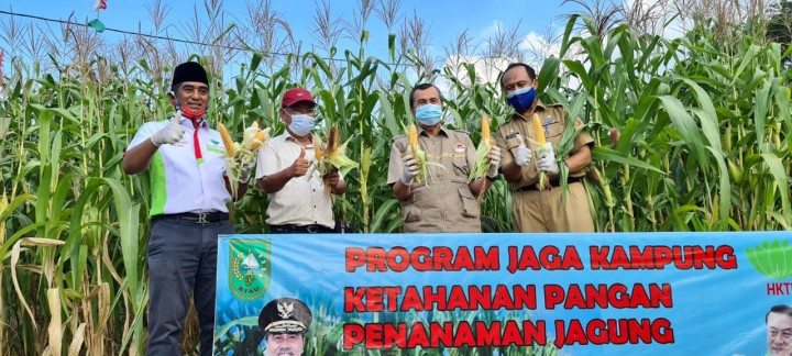Gubernur Riau melakukan panen perdana jagung di RA Kopi Aren