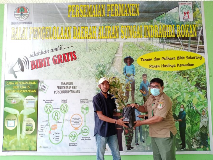 Manager Persemaian Permanen Tuah Karya, menyerahkan bibit gratis kepada masyarakat. Foto: ist