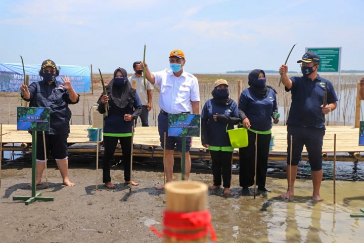 Tiga Menteri Kabinet Indonesia Maju ikut melakukan penanaman mangrove dalam rangka Program Padat Karya Mangrove yang dilakukan secara Nasional.  Foto: ist