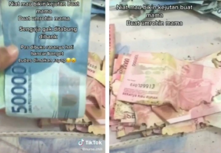 Niat Kasih Kejutan Umrah Untuk Ibu, Uang Rp50 Juta Malah Habis Dimakan Rayap, Ini Respon Netizen (foto/int)