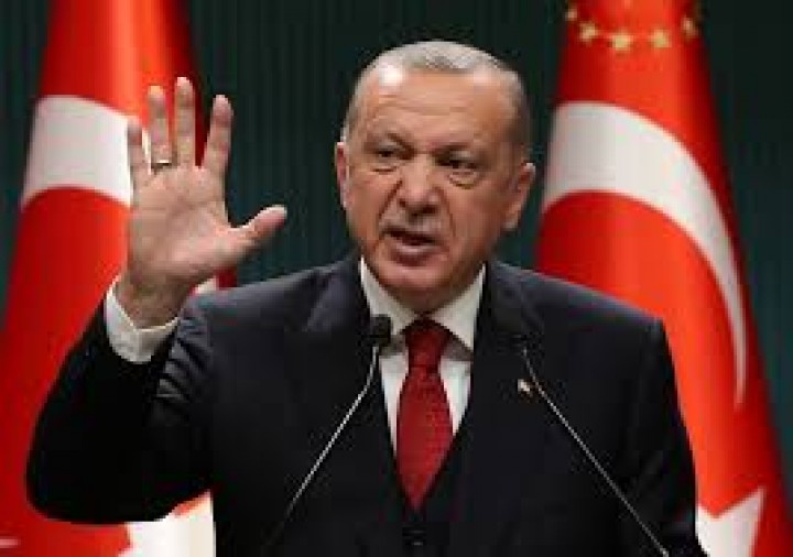 Erdogan (net) 