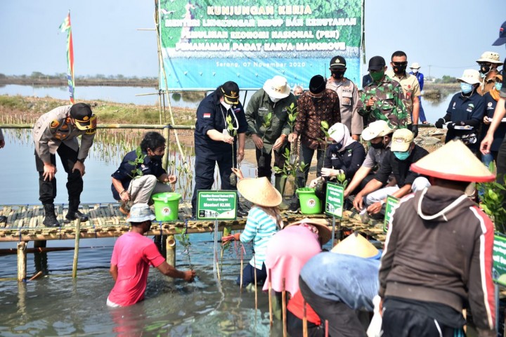 Menteri LHK Siti Nurbaya meninjau langsung kegiatan program padat karya mangrove untuk mendukung agenda Pemulihan Ekonomi Nasional (PEN). Foto: ist