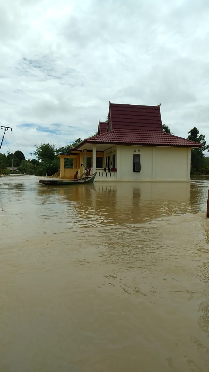 Empat Sungai di Desa Lubuk Kembang Bunga Meluap, Ketinggian Air Capai 2,4 Meter