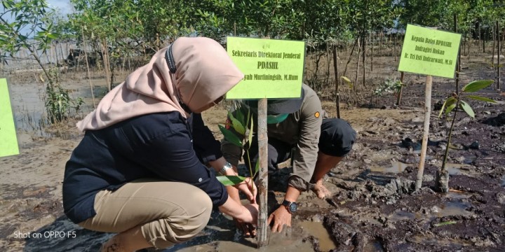 Sesditjen PDASHL KLHK Ir. Dyah Murtiningsih ikut menanam bibit mangrove saat berkunjung ke Bengkakis. Foto: ist