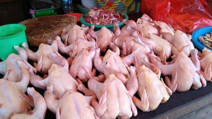 Akhir Pekan, Harga Daging Ayam Masih Tinggi di Pekanbaru (foto/int)