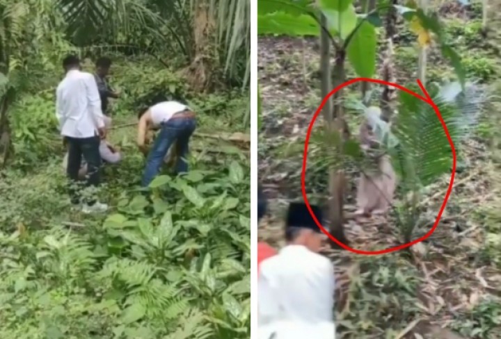 Viral Berburu Janda Bolong Hingga ke Semak-semak Kebun, Netizen: Tahun Depan Punah (foto/int)