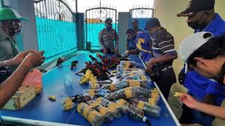 64 Burung Beo Eksotis Ditemukan Di Dalam Botol Plastik, Akan Diselundupkan Dari Indonesia