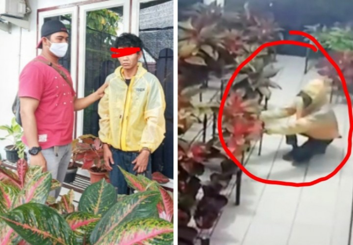 Pencuri Puluhan Bunga di Pekanbaru yang Viral Berhasil Diringkus Polisi (foto/int)