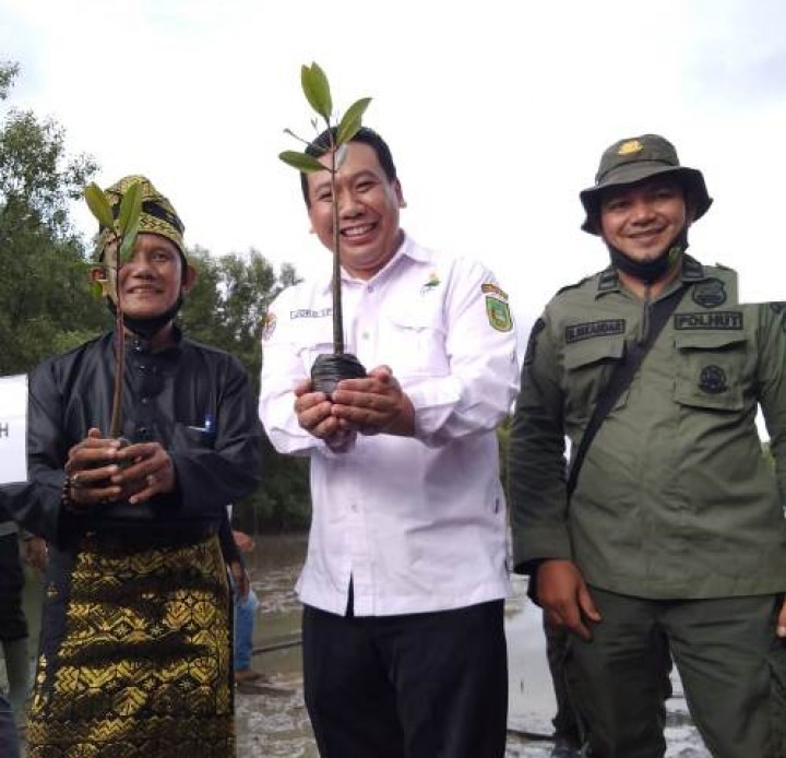 Prosesi penanaman mangrove yang dilaksanakan di Kabupaten Indragiri Hilir. Foto: ist  