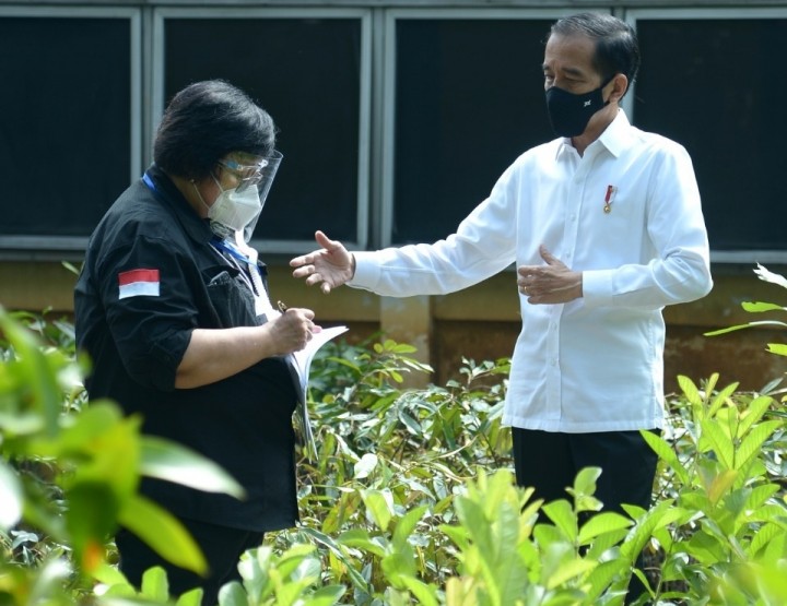 Menteri LHK Siti Nurbaya mendampingi kunjungan kerja Presiden Joko Widodo untuk melihat lokasi persemaian skala besar. Foto: ist