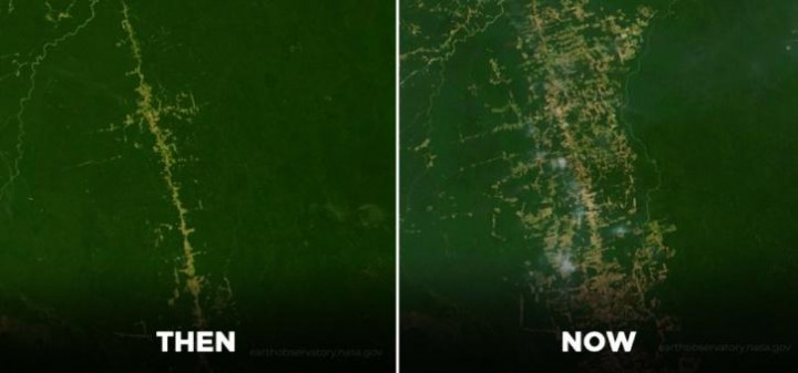 Deforestasi Hutan Hujan Amazon Akhirnya Melonjak ke Angka Tertinggi Selama 12 Tahun
