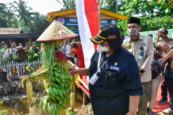 Menteri LHK Siti Nurbaya saat meninjau salah satu KBD BPDASHL Indragiri Rokan di Kabupaten Kampar. Foto: ist