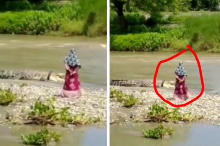 Viral, Emak-emak Berdaster Berdiri Samping Buaya Besar Dekat Sungai, Netizen Ucapkan Ini (foto/int)