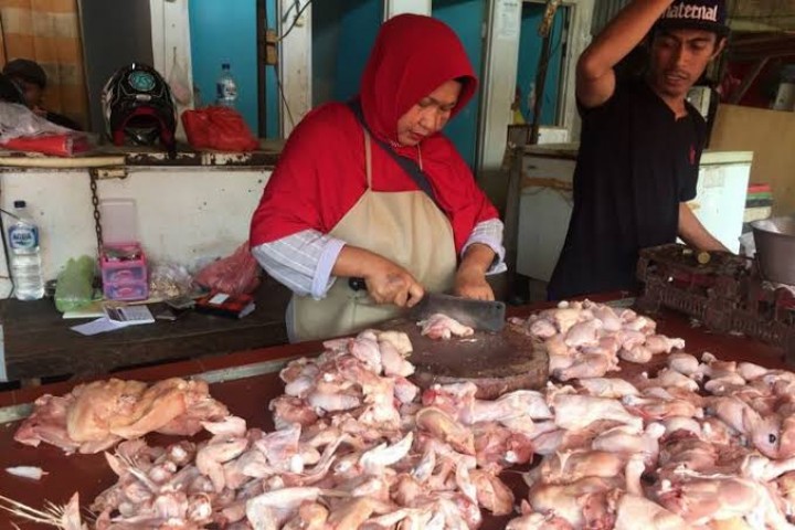 Harga Daging Ayam di Pekanbaru Masih Rp28 Ribu Per Kilogram (foto/int)