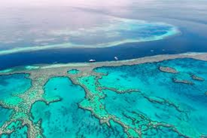 Great Barrier Reef Australia Alami Kritis Karena Perubahan Iklim