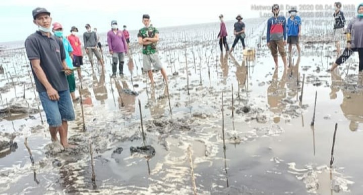Staf Ahli Men-LHK meninjau penanaman tanaman mangrove di desa Muntai