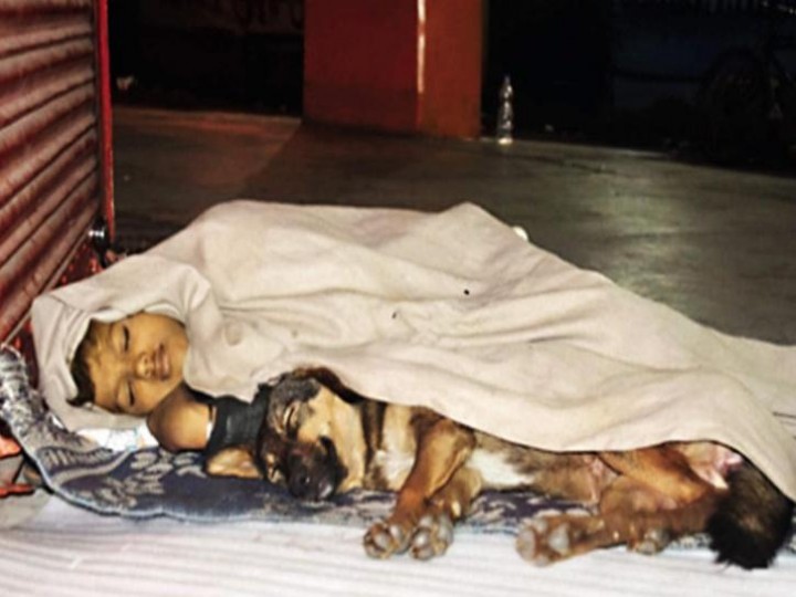 Ayahnya Dipenjara dan Ditinggalkan Sang Ibu, Kisah Seorang Anak Tunawisma Yang Hidup Dengan Anjing,Melelehkan Banyak Hati Netizen (foto:indiatimes)