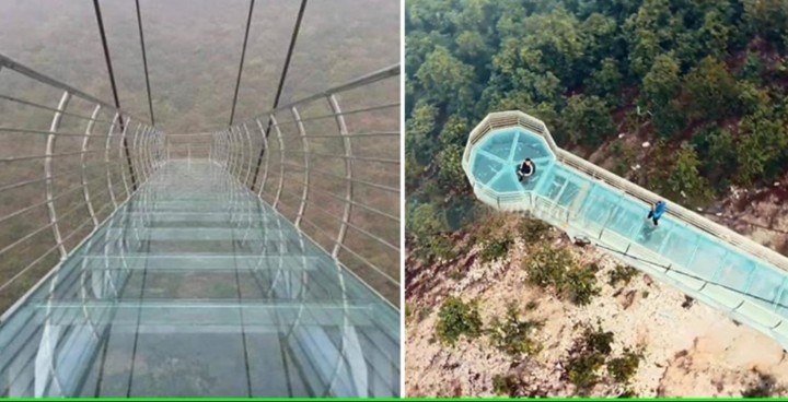 Bukan di London Atau Beijing, Jembatan Skywalk Kaca Megah Ini Berhasil Dibangun Di Bihar (foto : TOI)