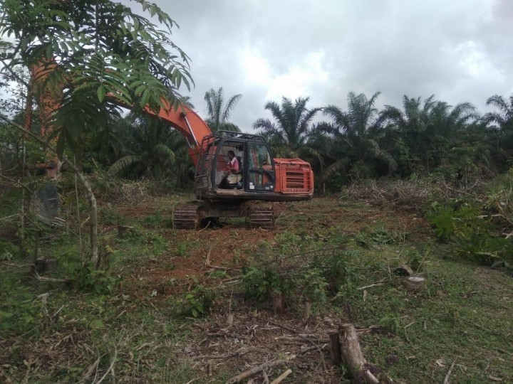 Warga Kecamatan Kampar Kiri Optimalkan Lahan Untuk Agrowis (foto/int) 