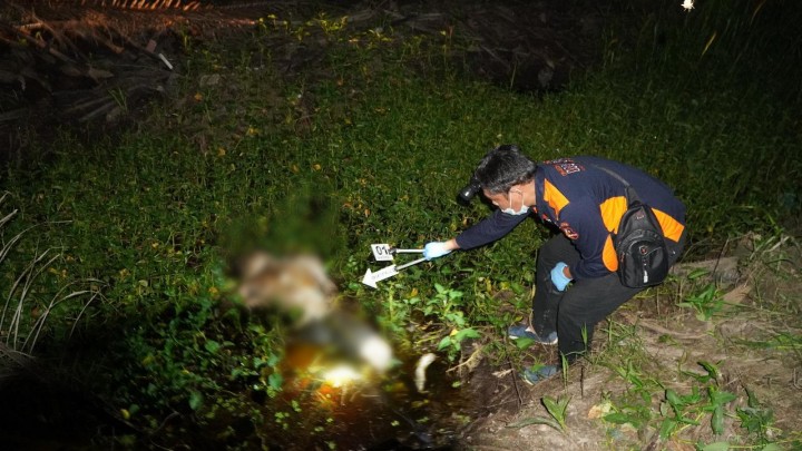 Polres Pelalawan Berhasil Ungkap Kasus Pembunuhan di Kebun Kelapa Sawit, Berikut Kronologinya