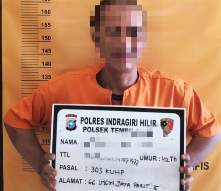 Nyambi Jual Togel, Karyawan Honor di Tembilahan Ditangkap Polisi (foto/int) 