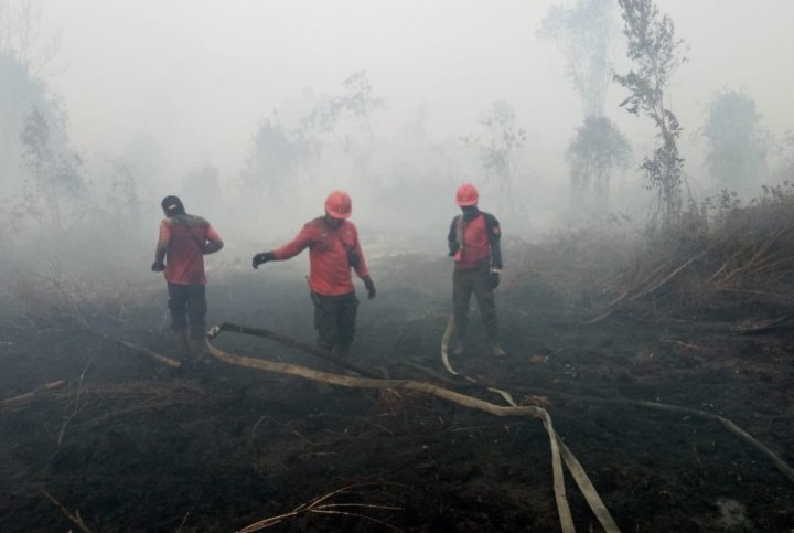 Ilustrasi  kebakaran hutan dan lahan. (Foto: Republika)