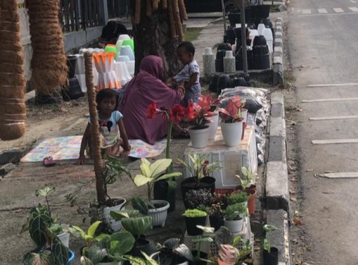 Pedagang Tanaman Hias di Jalan Arifin Ahmad Mengaku Omzet Menurun (foto/riz) 