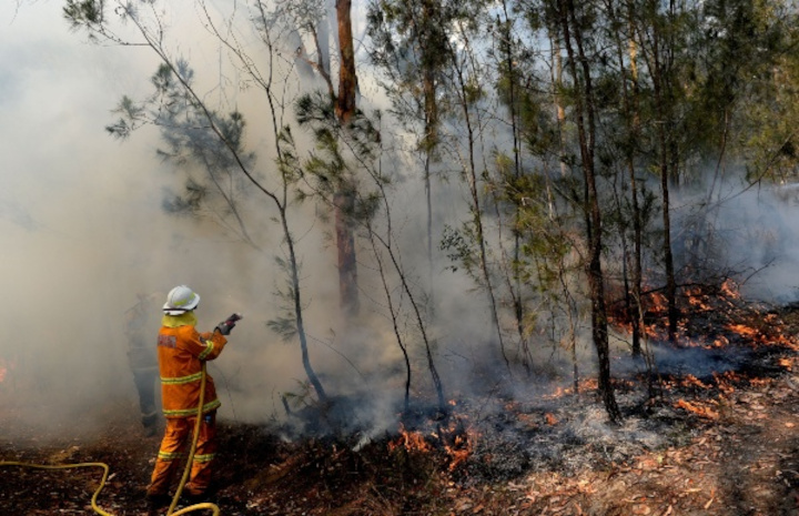 Kebakaran di Australia. Foto: Istimewa/Kabar24 - Bisnis.com
