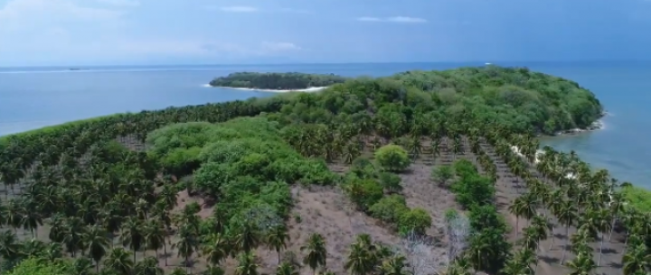Pulau Gili Tangkong di NTB yang dijual secara online. Foto: int 