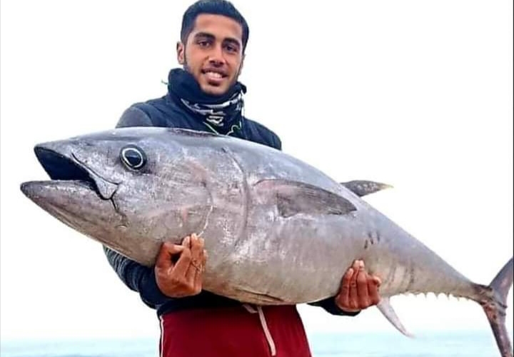 Nelayan Palestina Berhasil Tangkap Tuna Besar, Netizen: Ikannya Tersenyum (foto/int) 