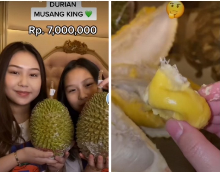 Viral Cewek Cantik Belah Duren Seharga Rp7 Juta, Warganet: Auto Enggak Makan Sebulan (foto/int) 