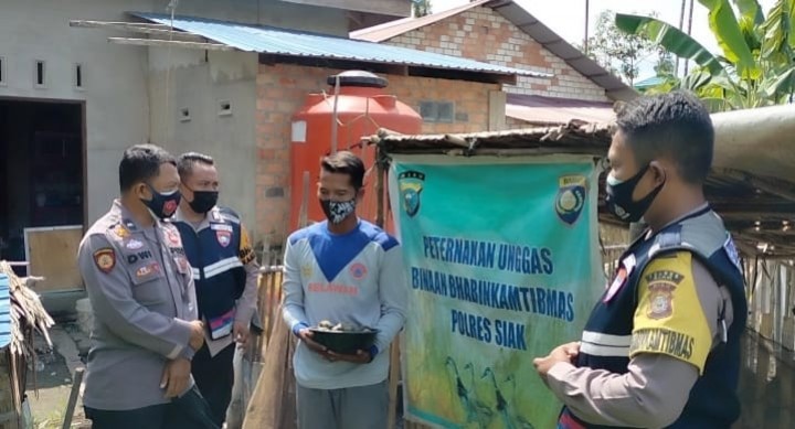 Bhabinkamtibmas Zamzami Kembangkan Peternakan Itik, Tingkatkan Ketahanan Pangan (foto/lin) 