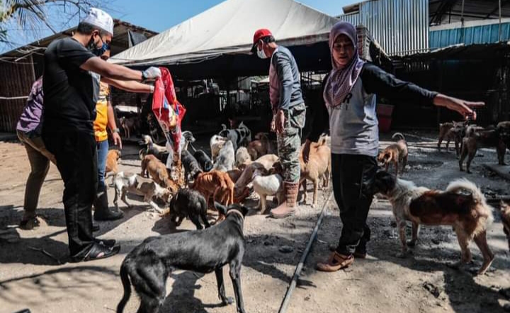 Ustadz Ebit Liew Rawat Ratusan Kucing dan Anjing Terlantar, Netizen Langsung Terharu (foto/int) 