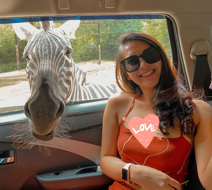 Selfie Bareng Zebra, Soraya Rasyid: Hidungnya Nggak Belang (foto/int) 