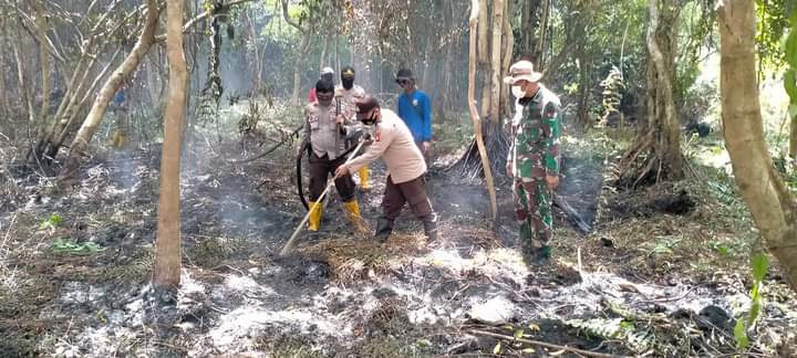 Kebakaran hutan dan lahan diwilayah Kabupaten Bengkalis