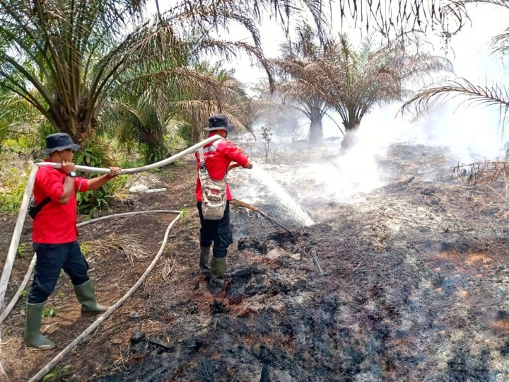 Karhutla di Desa Sering, Fire Fighter RAPP Langsung Terjunkan Padamkan Api (foto/Ardi) 