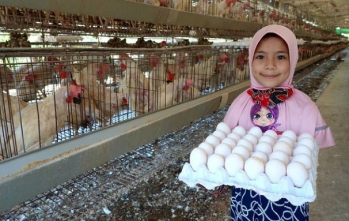 Telur Ayam Gaza Palestina Berwarna Putih dan Jumbo, Netizen Sebut Begini (foto/int) 