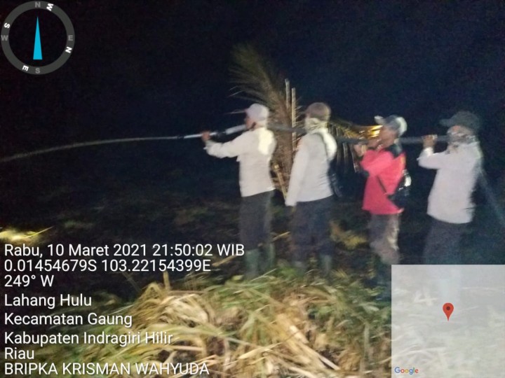 Kapolsek Gaung dan Personil Padamkan Karlahut di Dusun VI Lahang Hulu (foto/rgo) 