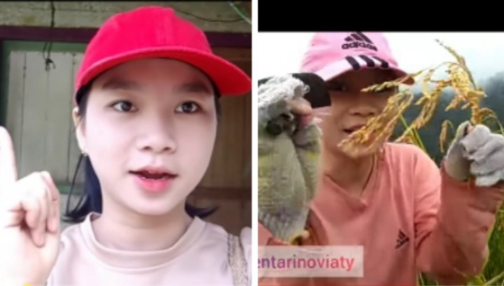 Viral Gadis Dayak Kalimantan Panen Padi di Pegunungan, Netizen Sebut Begini (foto/int) 