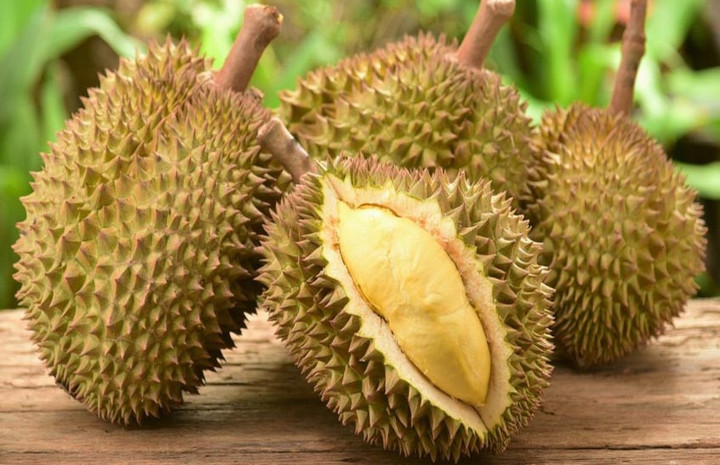 Buah durian. Foto: KlikDokter