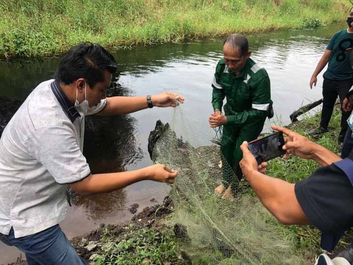 Dewan Pelalawan Saksikan Ikan Hidup Dalam Kanal Limbah RAPP (foto/Ardi) 
