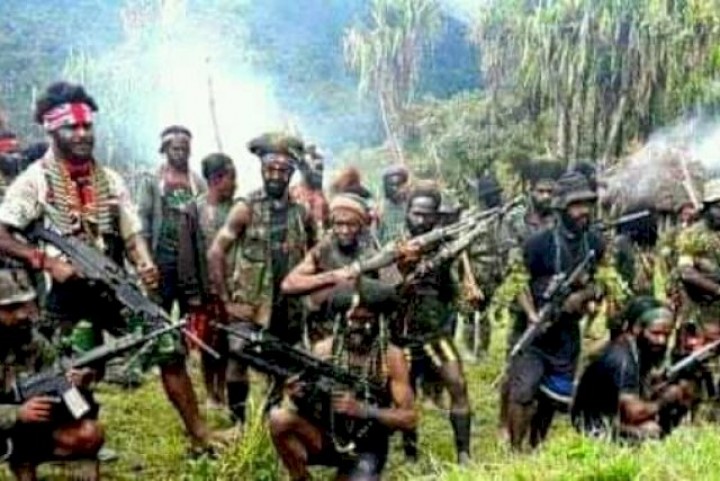 Kelompok bersenjata di Papua