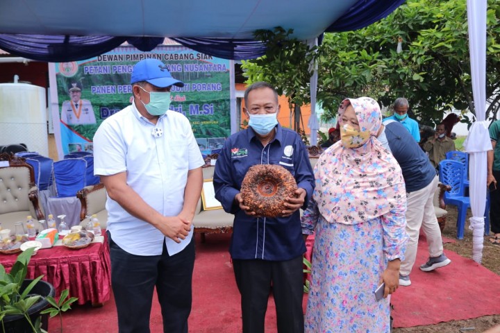 Bupati Alfedri Optimis Porang Bisa Berkembang di Kabupaten Siak (foto/ist) 