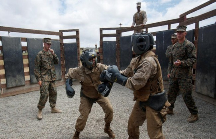 Marinir wanita AS menjalani latihan di Kamp San Diego. Foto: cnnidnoensia.com/Reuters/Mike Blake