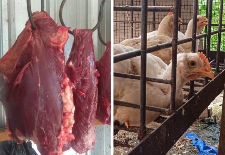 Hari Ini Harga Daging Ayam dan Sapi Tidak Ada Kenaikan (foto/int) 