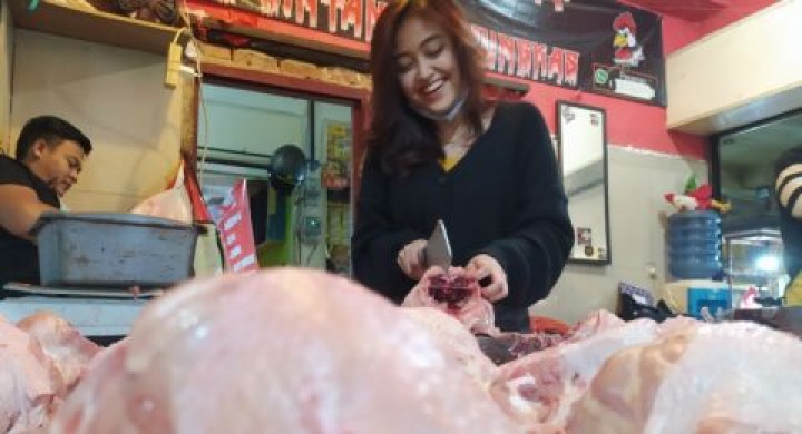 Harga Ayam Potong di Pekanbaru Dijual Rp27 Ribu Per Kilogram