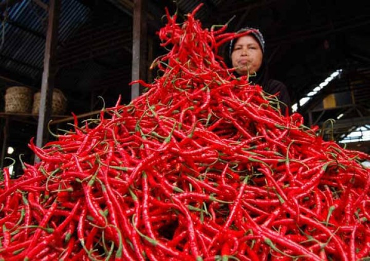 Awal Pekan Ini Harga Cabai Merah Turun dan Bawang Naik Tipis di Pekanbaru (foto/int) 