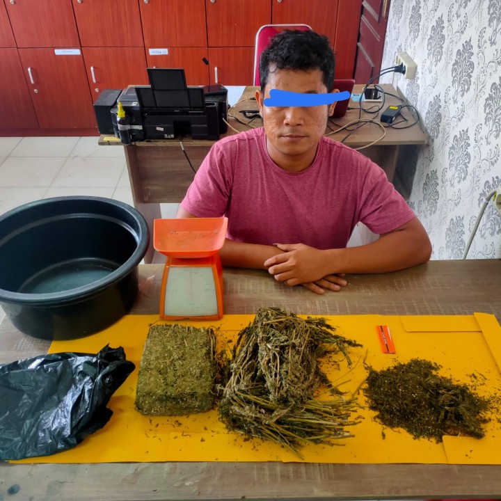 Pengedar Narkotika Sejenis Ganja Ditangkap di Kecamatan Sei Apit (foto/int) 