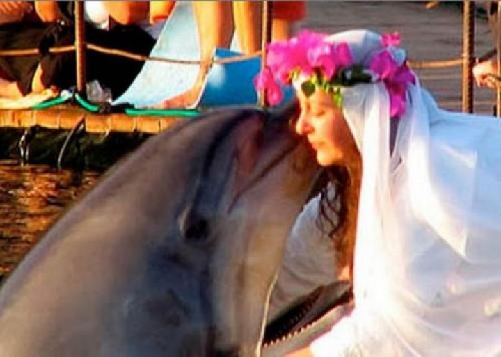 Suami Jutawan Sharon yang Merupakan Lumba-lumba Meninggal Dunia, Tak Tertarik Menikahi Manusia (foto/int) 