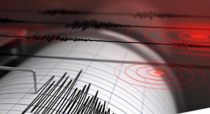 Pagi Ini Gempa Berkekuatan 4,6 Magnitudo Guncang Tanggamus Lampung (foto/int) 